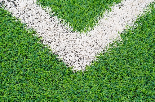 Synthetic Turf Field Surface