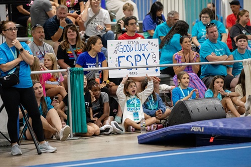 Gymnastics in Valley Forge