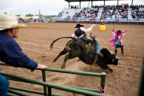 Bull Riding