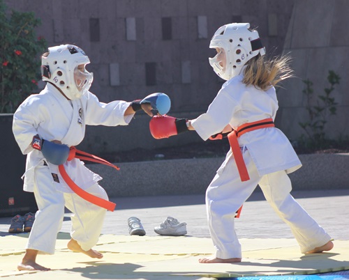 Karate Kids