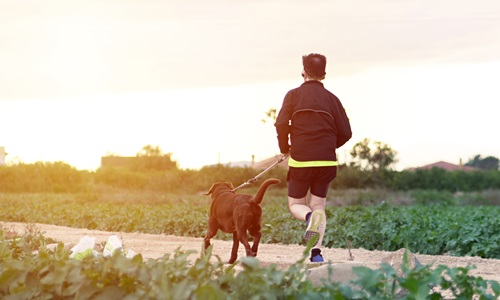 Dog Running Next to Man