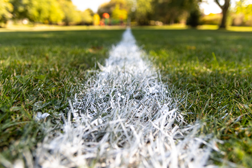 Natural Grass Field