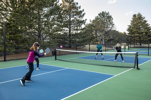 Pickleball Growth