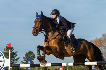 Winter Equestrian to Return to Wellington, Driving Economic Impact for The Palm Beaches