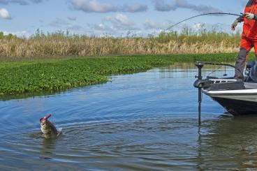 The 2024 Major League Fishing (MLF) General Tire Team Series B&W Trailer Hitches Challenge Cup Presented by Toyota will air on the Outdoor Channel every Saturday from 2-4 p.m. ET beginning on Jan. 4 and running through Feb. 8.