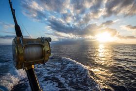 2024 Bassmaster Redfish Cup Championship set for Florida’s Apalachicola Bay