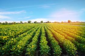 The 43rd Annual Farm Tour provides a rare chance to connect with the individuals who make Volusia County’s agricultural industry thrive. 